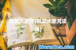 梵文大悲咒(藏文大悲咒读诵)