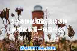 淡妆浓抹总相宜(淡妆浓抹总相宜前面一句是什么)
