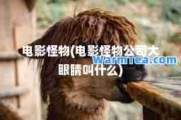 电影怪物(电影怪物公司大眼睛叫什么)