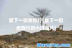 放下一切去旅行(放下一切去旅行刘小顺图片)