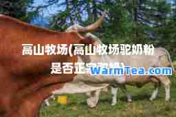 高山牧场(高山牧场驼奶粉是否正宗驼奶)