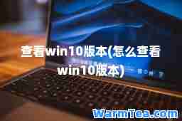 查看win10版本(怎么查看win10版本)