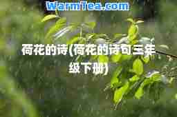 荷花的诗(荷花的诗句三年级下册)