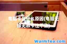 电脑卡是什么原因(电脑无缘无故卡住不动)