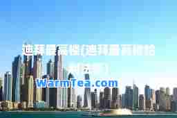 迪拜最高楼(迪拜最高楼哈利法塔)