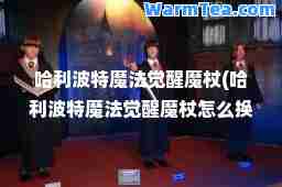 哈利波特魔法觉醒魔杖(哈利波特魔法觉醒魔杖怎么换)