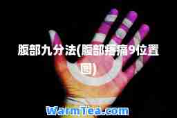 腹部九分法(腹部疼痛9位置图)