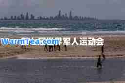 第七届世界军人运动会