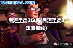 黑道圣徒3攻略(黑道圣徒3攻略视频)