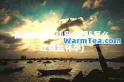 孤岛惊魂5(孤岛惊魂5怎么让费丝)