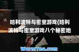 哈利波特与密室游戏(哈利波特与密室游戏八个秘密地点)