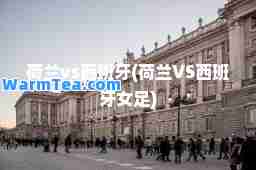 荷兰vs西班牙(荷兰VS西班牙女足)