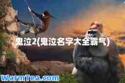 鬼泣2(鬼泣名字大全霸气)