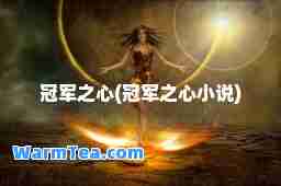 冠军之心(冠军之心小说)