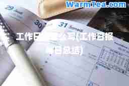 工作日志怎么写(工作日报每日总结)