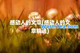 感动人的文章(感动人的文章精选)