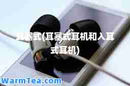 耳塞式(耳塞式耳机和入耳式耳机)