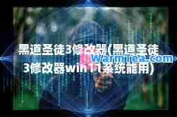 黑道圣徒3修改器(黑道圣徒3修改器win11系统能用)