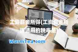 工资薪金所得(工资薪金所得适用的税率是)