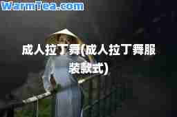 拉丁舞(拉丁舞服装款式)
