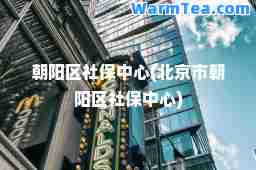 朝阳区社保中心(北京市朝阳区社保中心)