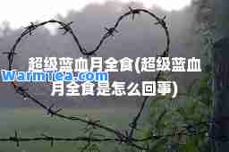 超级蓝血月全食(超级蓝血月全食是怎么回事)