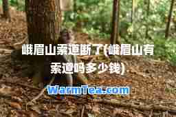 峨眉山索道断了(峨眉山有索道吗多少钱)