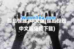 孤岛惊魂2中文版(孤岛惊魂中文版免费下载)