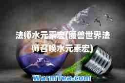 法师水元素宏(魔兽世界法师召唤水元素宏)