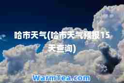 哈市天气(哈市天气预报15天查询)
