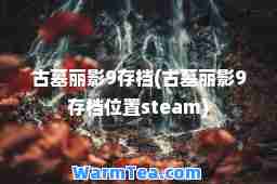 古墓丽影9存档(古墓丽影9存档位置steam)