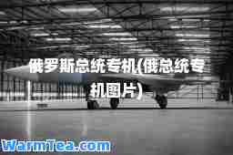 俄罗斯总统专机(俄总统专机图片)