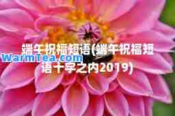 端午祝福短语(端午祝福短语十字之内2019)