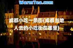 成都小吃一条街(成都当地人去的小吃街在哪里)