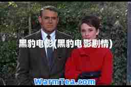 黑豹电影(黑豹电影剧情)