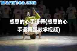 感恩的心手语舞(感恩的心手语舞蹈教学视频)