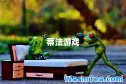 蒂法游戏