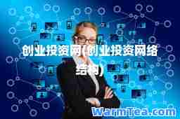 创业投资网(创业投资网络结构) 创业投资网(创业投资网络结构)
