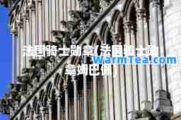 法国骑士勋章(法国骑士勋章姆巴佩)