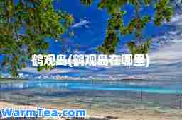 鹤观岛(鹤观岛在哪里)