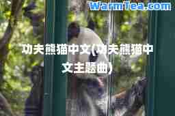功夫熊猫中文(功夫熊猫中文主题曲)