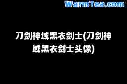 刀剑域黑衣剑士(刀剑域黑衣剑士头像)