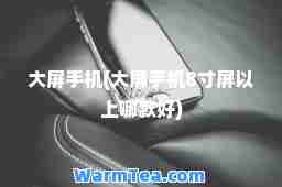 大屏手机(大屏手机8寸屏以上哪款好)