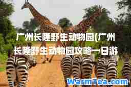 广州长隆野生动物园(广州长隆野生动物园攻略一日游)