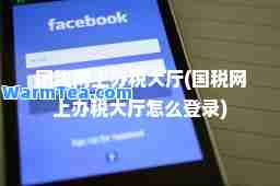 国税网上办税大厅(国税网上办税大厅怎么登录) 国税网上办税大厅(国税网上办税大厅怎么登录)