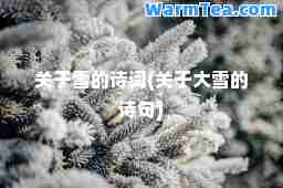 关于雪的诗词(关于大雪的诗句)