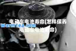 电动车电池寿(怎样保养电动车电池寿)