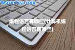 编程语言有哪些(计算机编程语言有哪些)