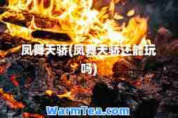 凤舞天骄(凤舞天骄还能玩吗)