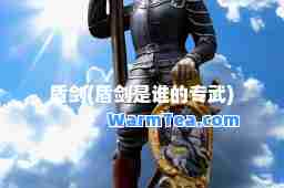 盾剑(盾剑是谁的专武)